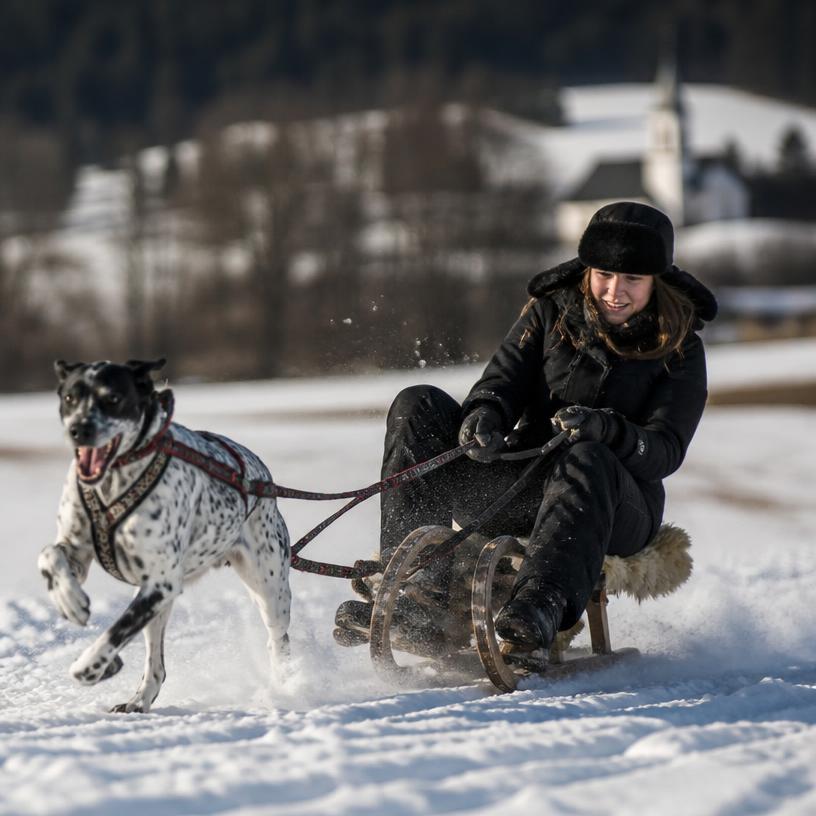 Zimní radovánky: Nečekané sporty